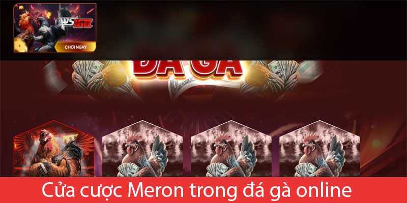 Cửa cược Meron trong đá gà online