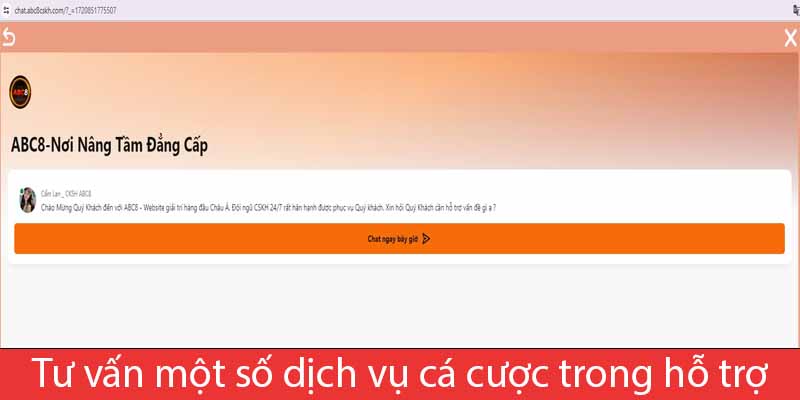 Tư vấn một số dịch vụ cá cược trong hỗ trợ ABC8