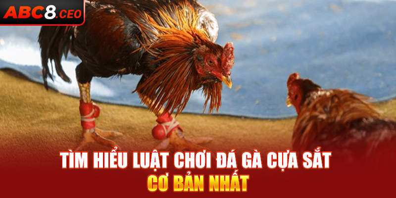 Tìm hiểu luật chơi đá gà cựa sắt cơ bản nhất